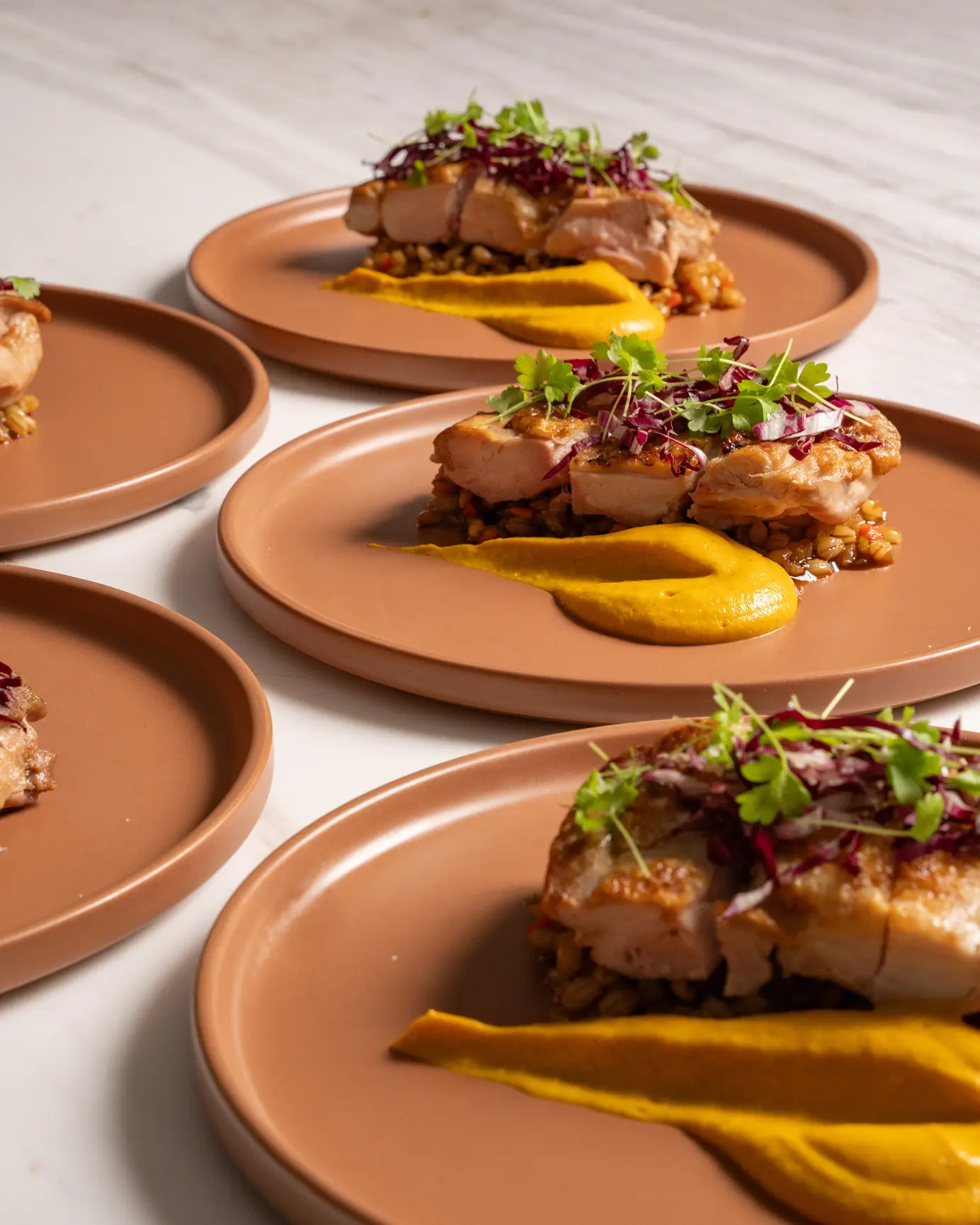 Degustation courses plated and lined up for a private Parramatta dinner